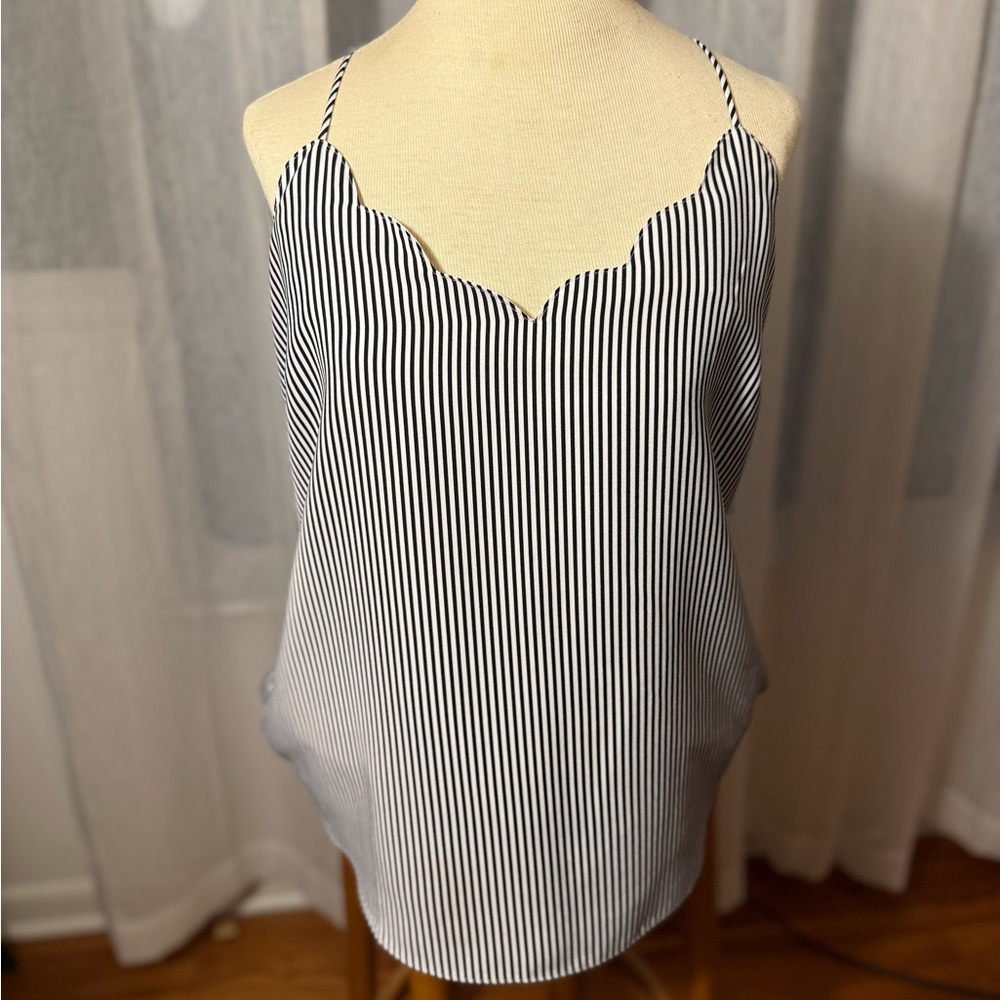 J. Crew Black and White Striped Camisole